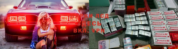 бошки Алзамай