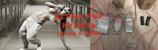 индика Абинск