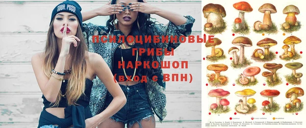 бошки Алзамай