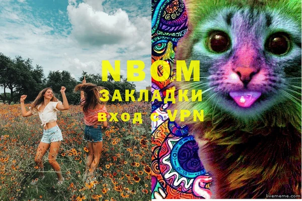 стафф Алексин
