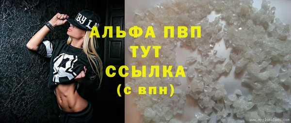 стафф Алексин