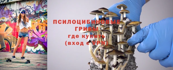 бошки Алзамай