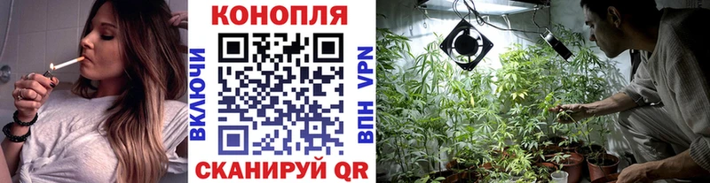 купить  сайты  Бежецк  Марихуана планчик 